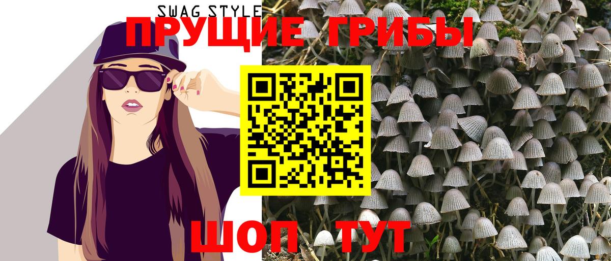 Псилоцибиновые грибы прущие грибы Тосно