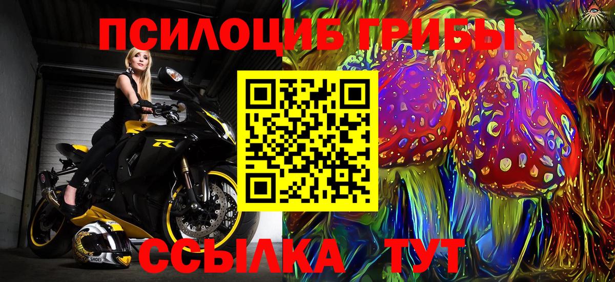 Тосно  где купить наркотик  Вход с VPN  Псилоцибиновые грибы Magic Shrooms 